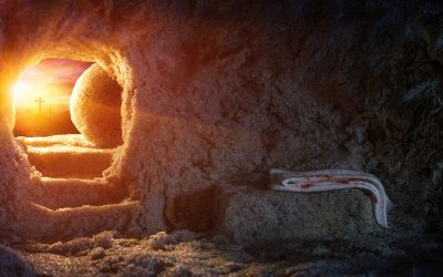 An Empty Tomb – A Risen Lord – John 20:1-18